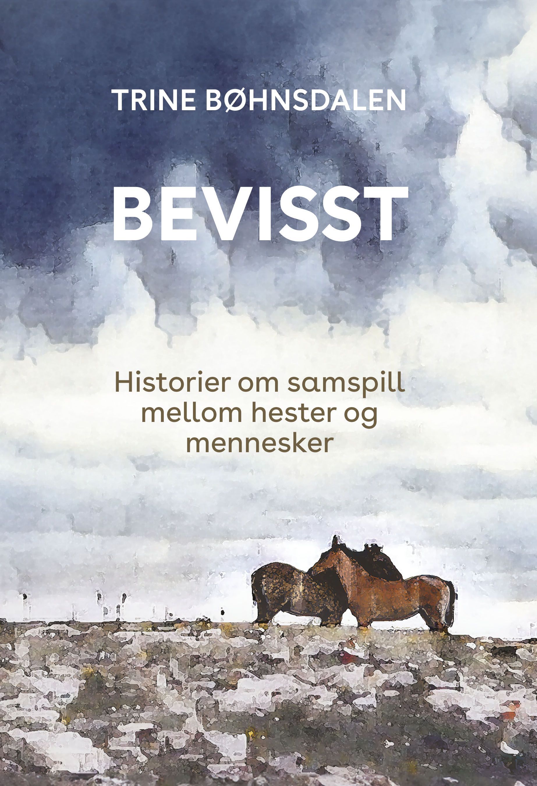 Bevisst : historier om samspill mellom hester og mennesker
