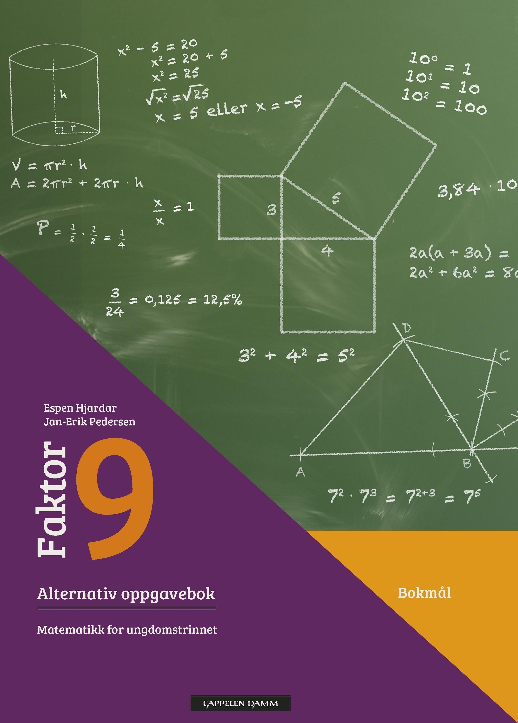 Faktor 9 : alternativ oppgavebok