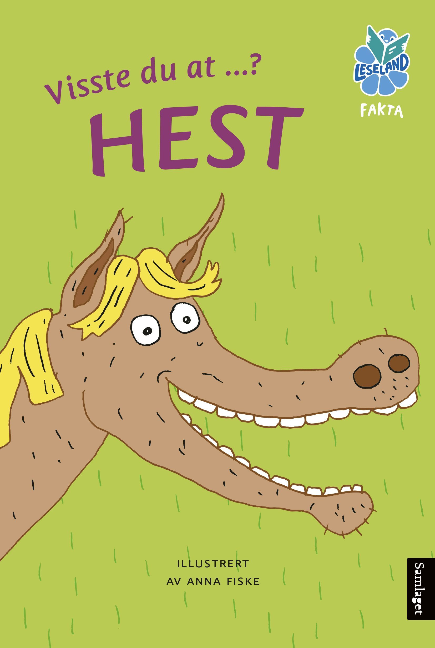 Visste du at-? Hest