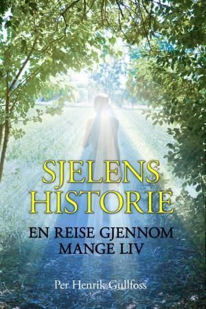 Forsidebilde av Sjelens historie : en reise gjennom mange liv