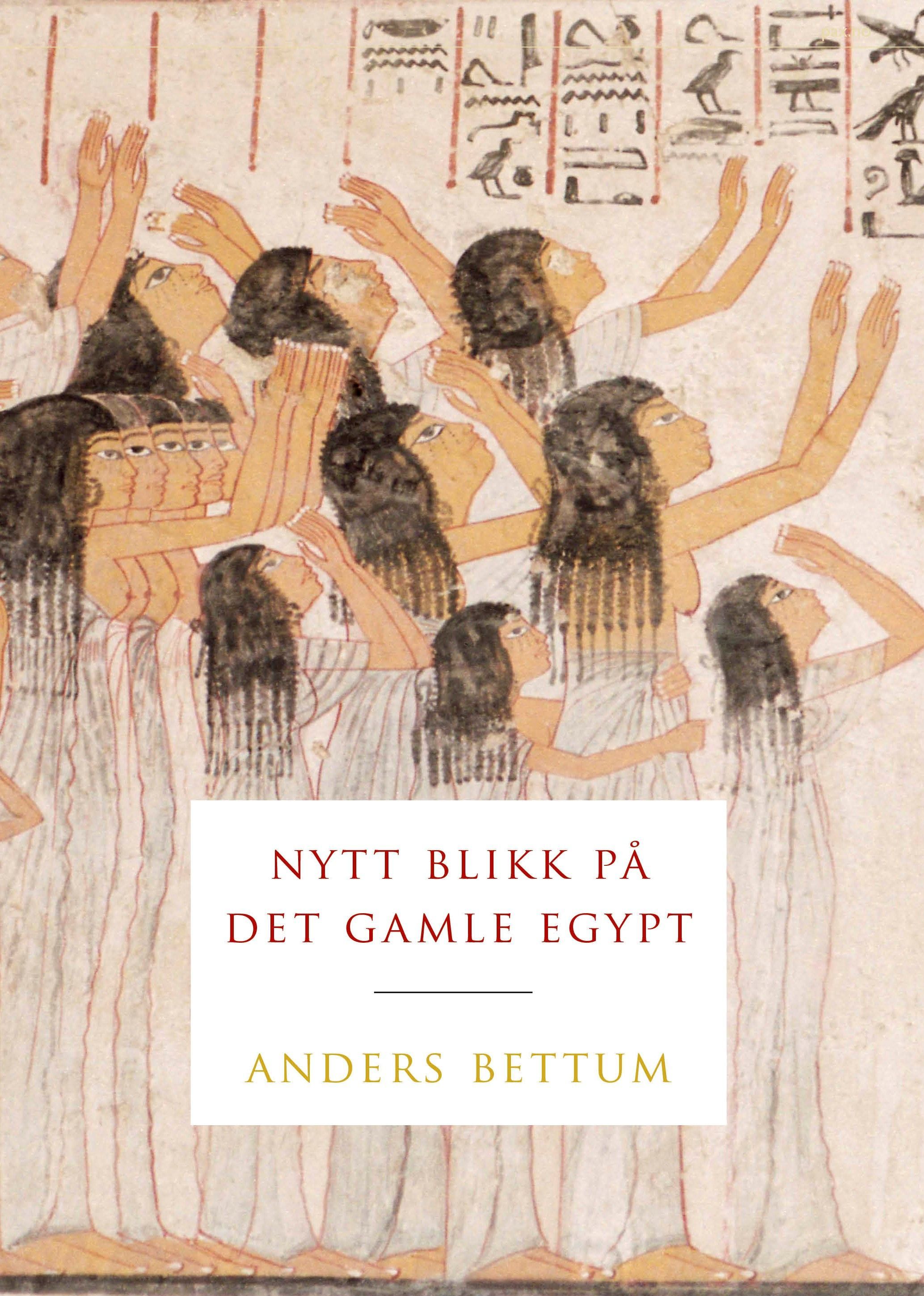Forsidebilde av Nytt blikk på det gamle Egypt