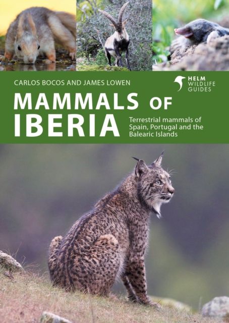 Mammals of Iberia : Terrestrial mammals of Spain, Portugal and the Balearic Islands
