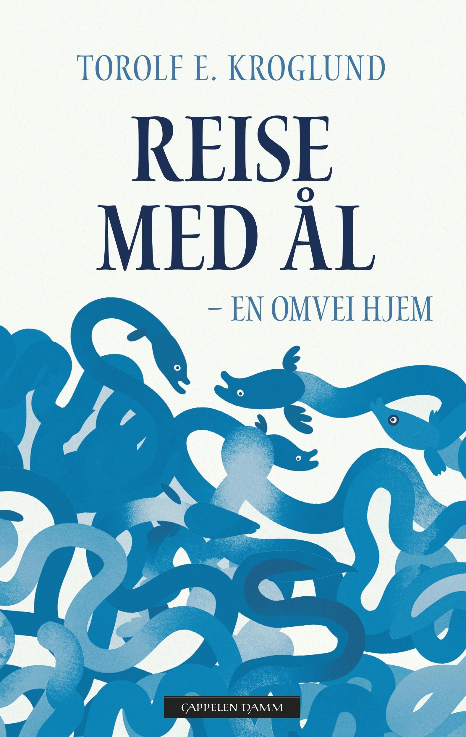 Reise med ål : en omvei hjem