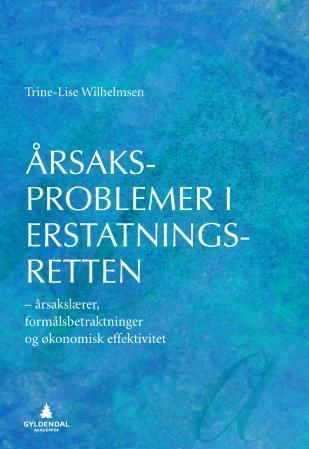 Årsaksproblemer i erstatningsretten : årsakslærer, formålsbetraktninger og økonomisk effektivitet