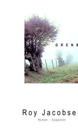 Grenser : roman