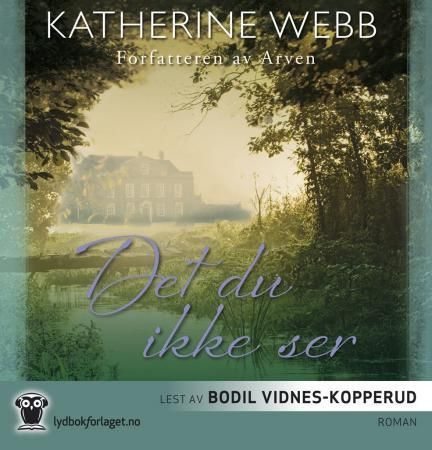 Det du ikke ser