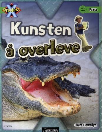 Forsidebilde av Kunsten å overleve