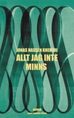 Allt jag inte minns : roman