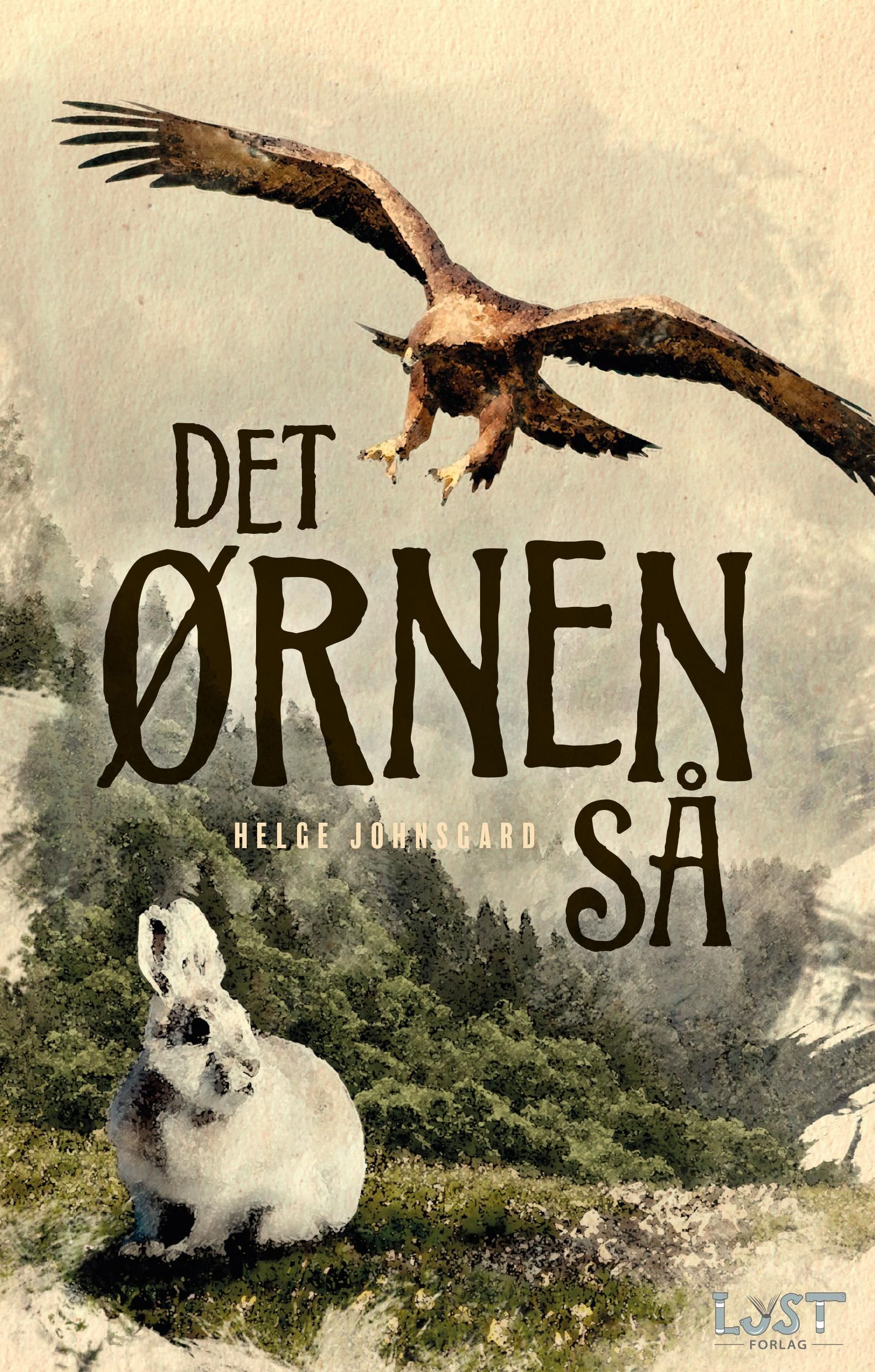 Det ørnen så : roman
