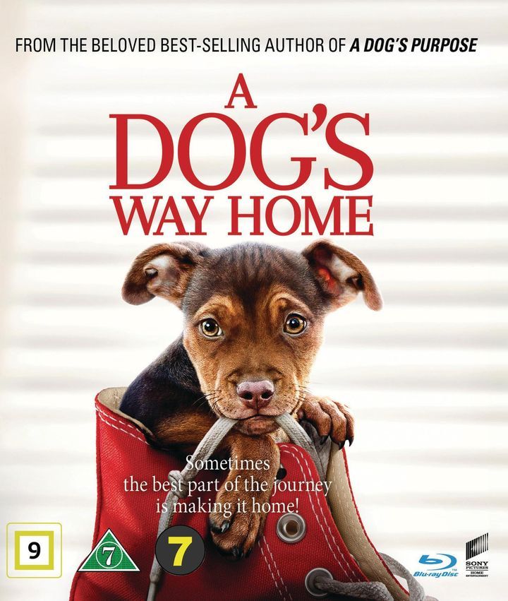 A Dog's way home