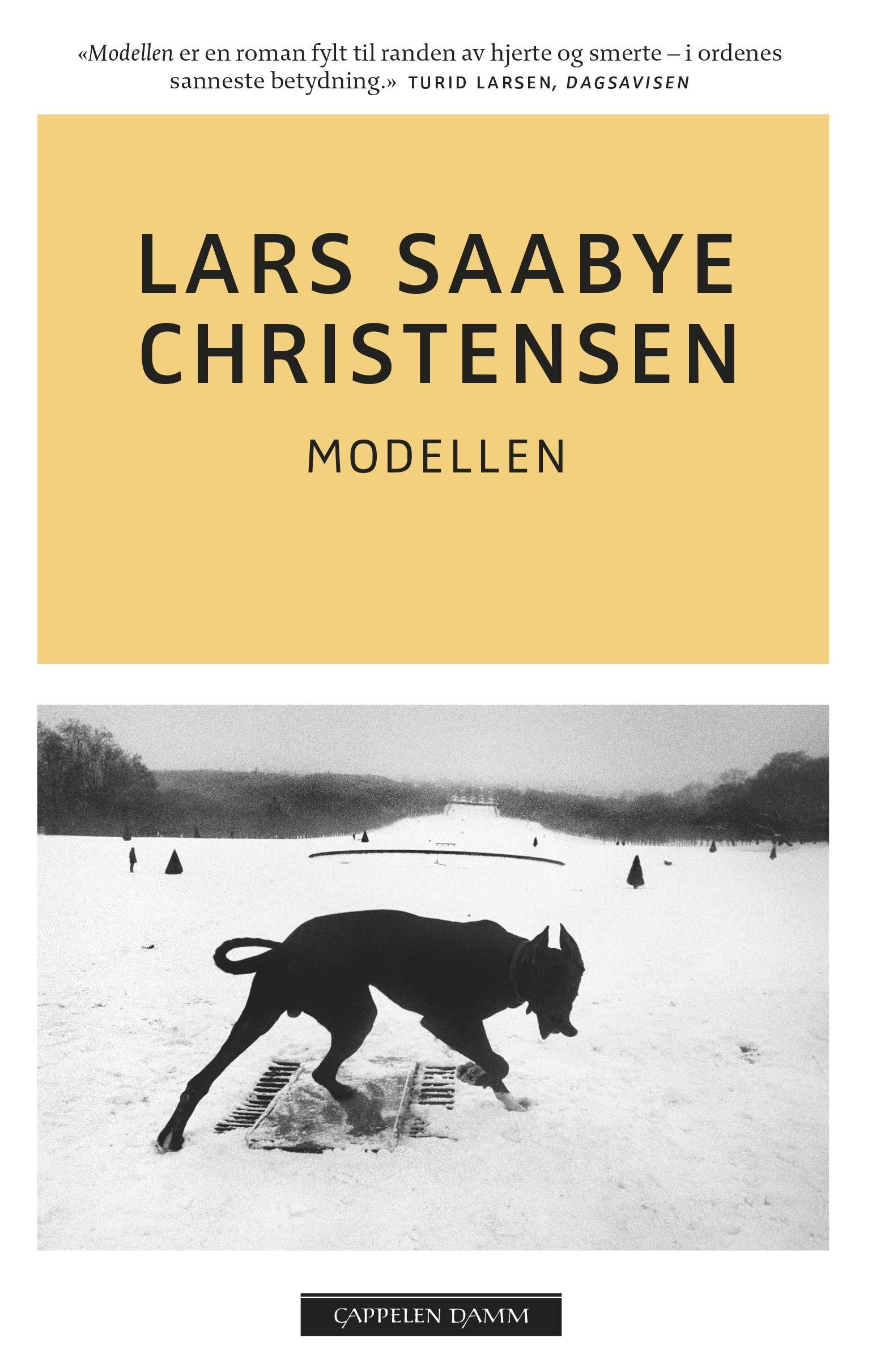 Modellen : roman
