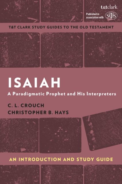 Isaiah: An Introduction and Study Guide : A Paradigmatic Prophet and His Interpreters
