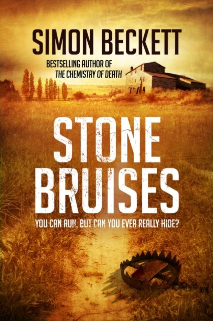 Forsidebilde av Stone Bruises