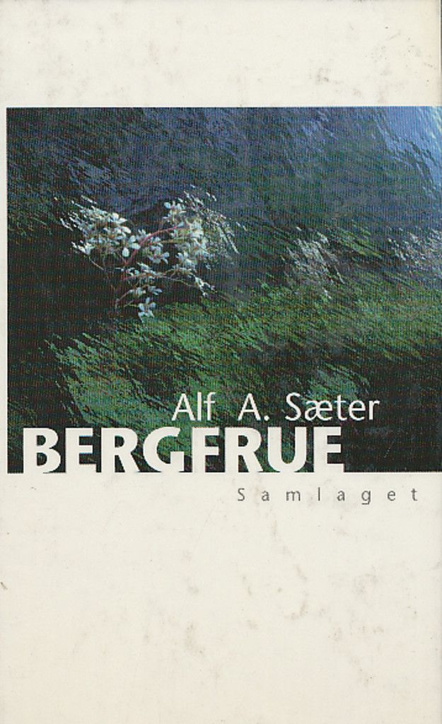 Bergfrue : roman