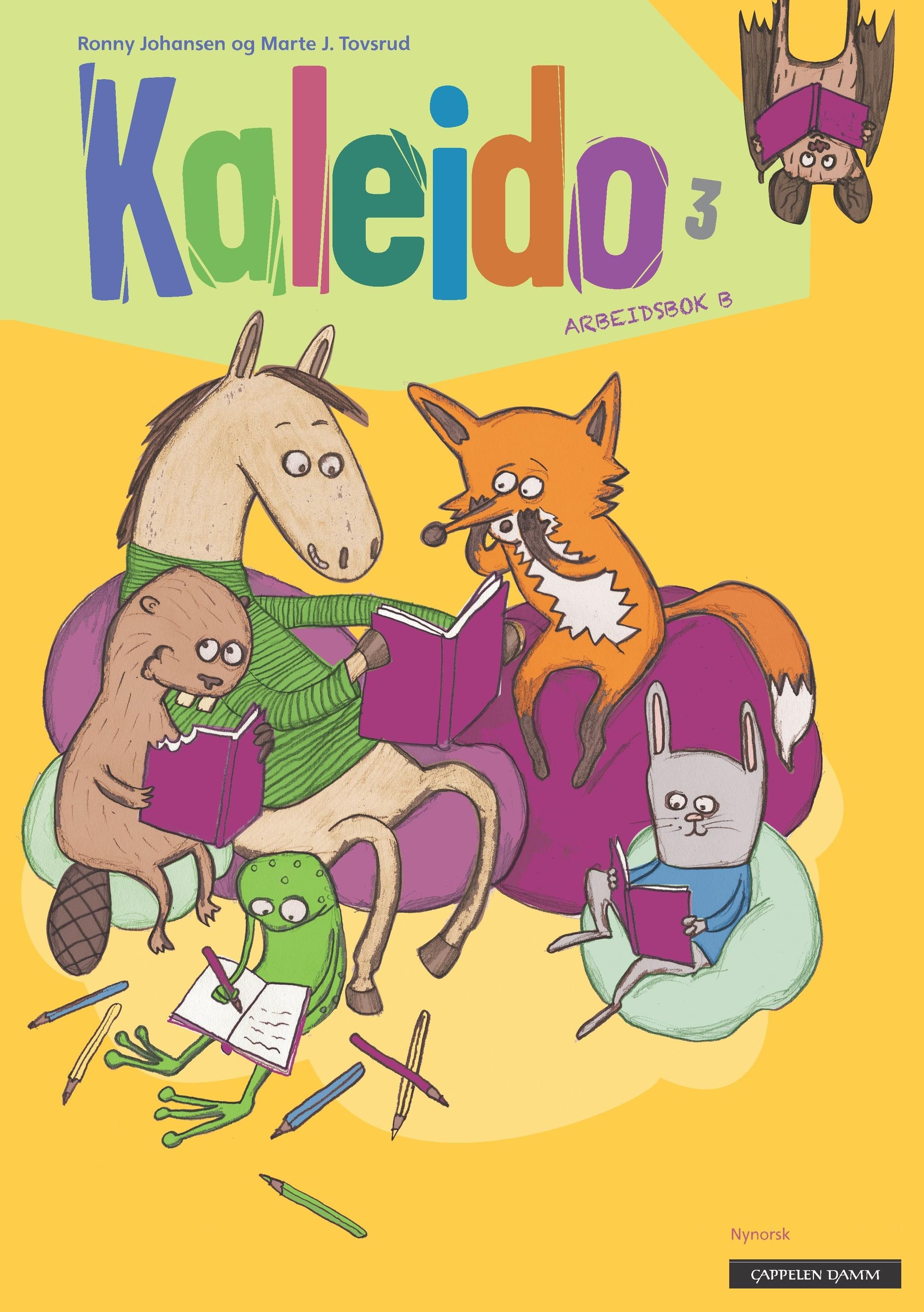 Kaleido 3. Arbeidsbok B