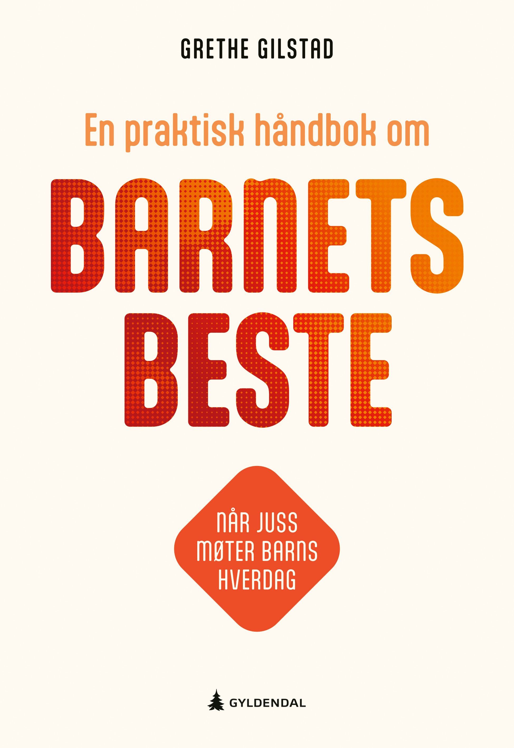 En praktisk håndbok om barnets beste : når juss møter barns hverdag