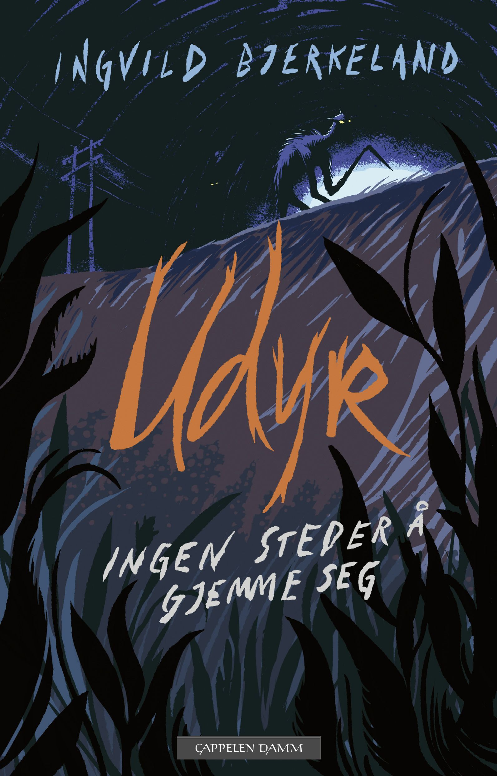 Ingen steder å gjemme seg