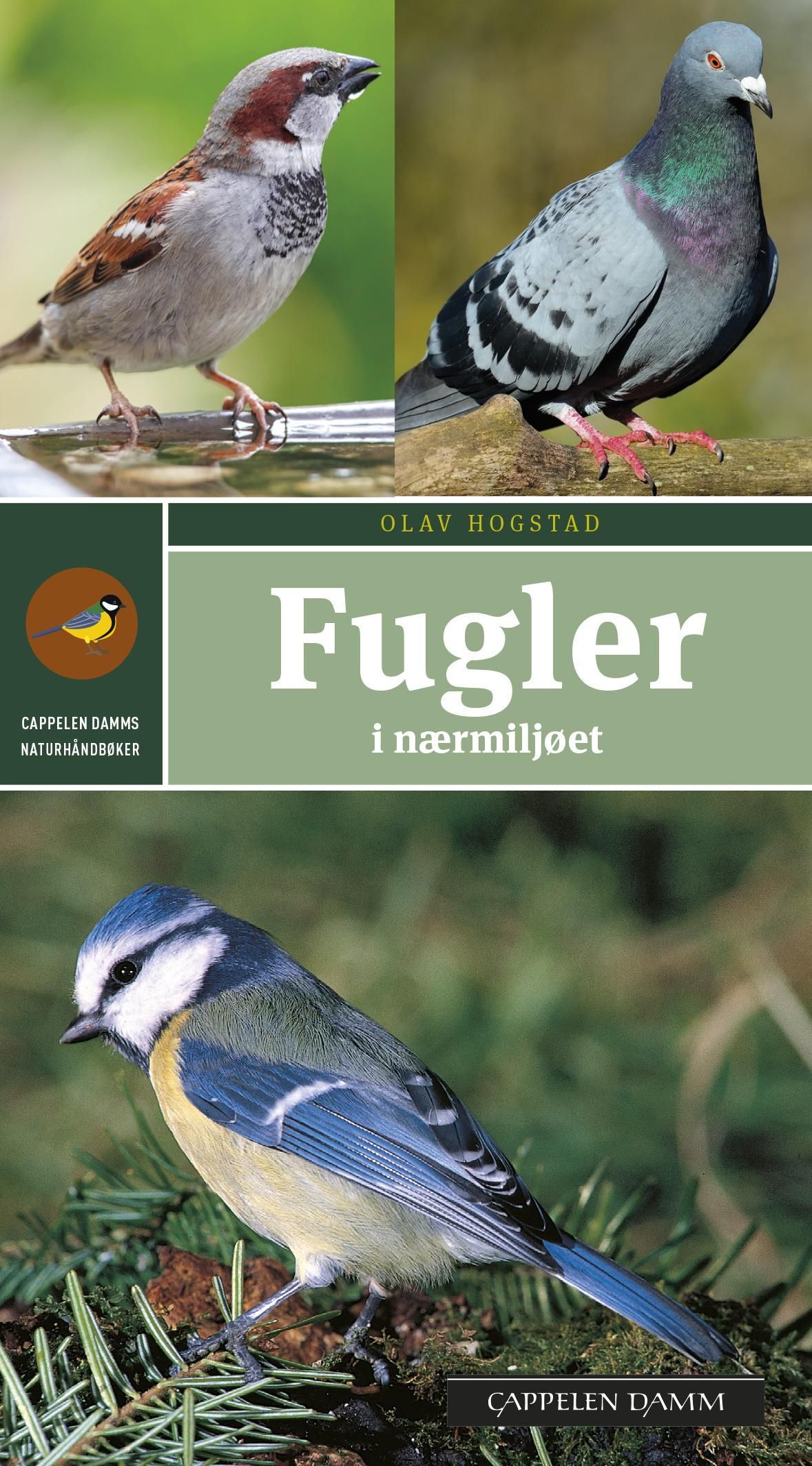 Fugler i nærmiljøet : enkel og sikker artsbestemmelse