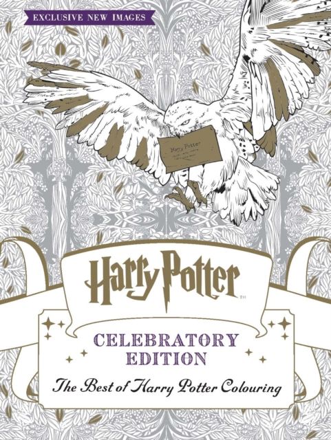 Harry Potter colouring book