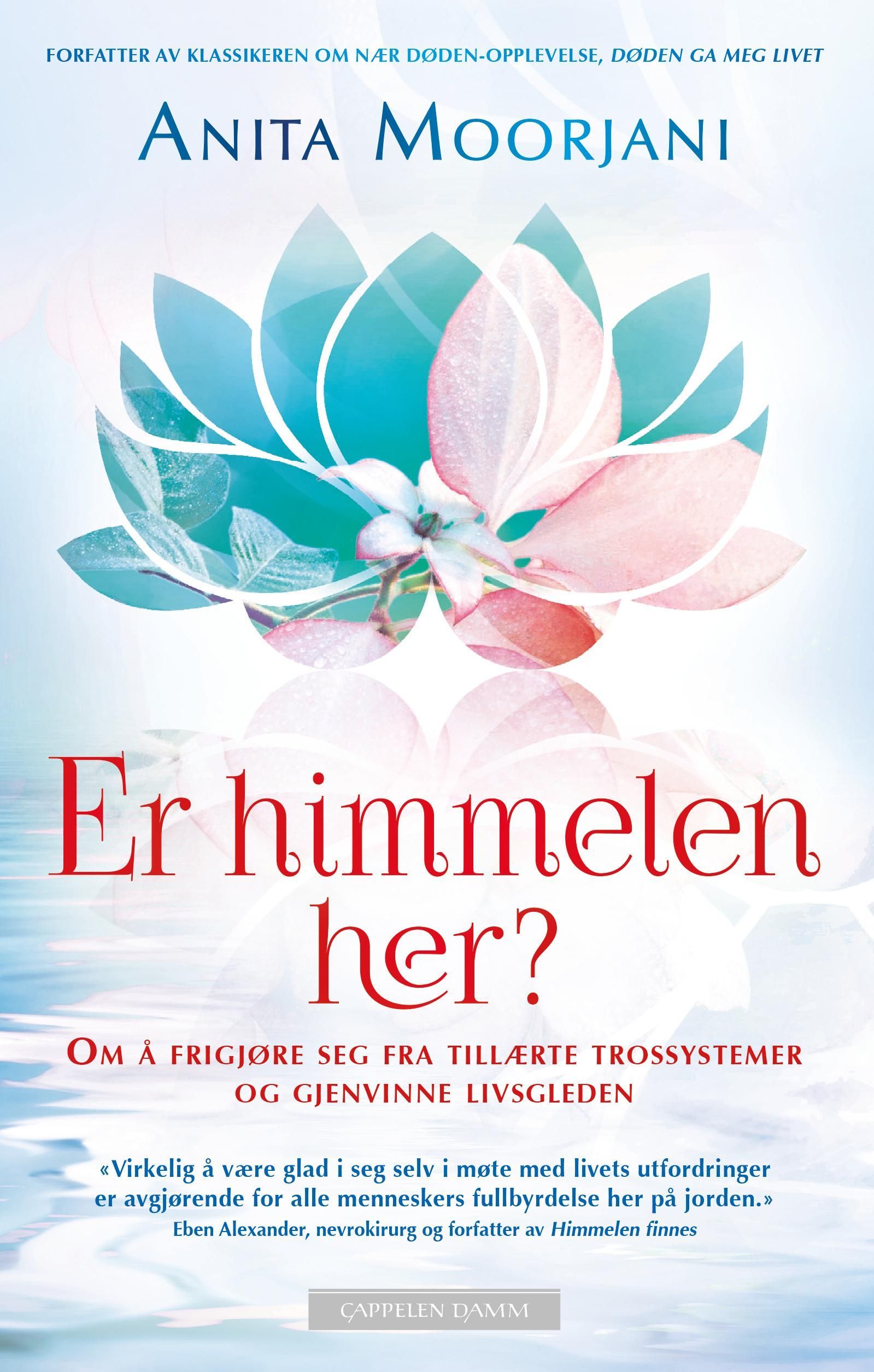 Er himmelen her? : om å frigjøre seg fra tillærte trossystemer og gjenvinne livsgleden