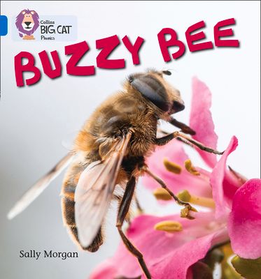 Buzzy Bees : Band 04/Blue