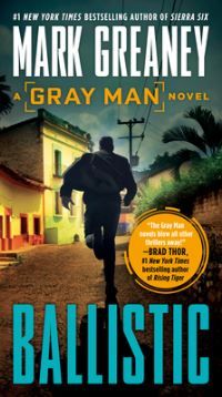 Gray Man-novel