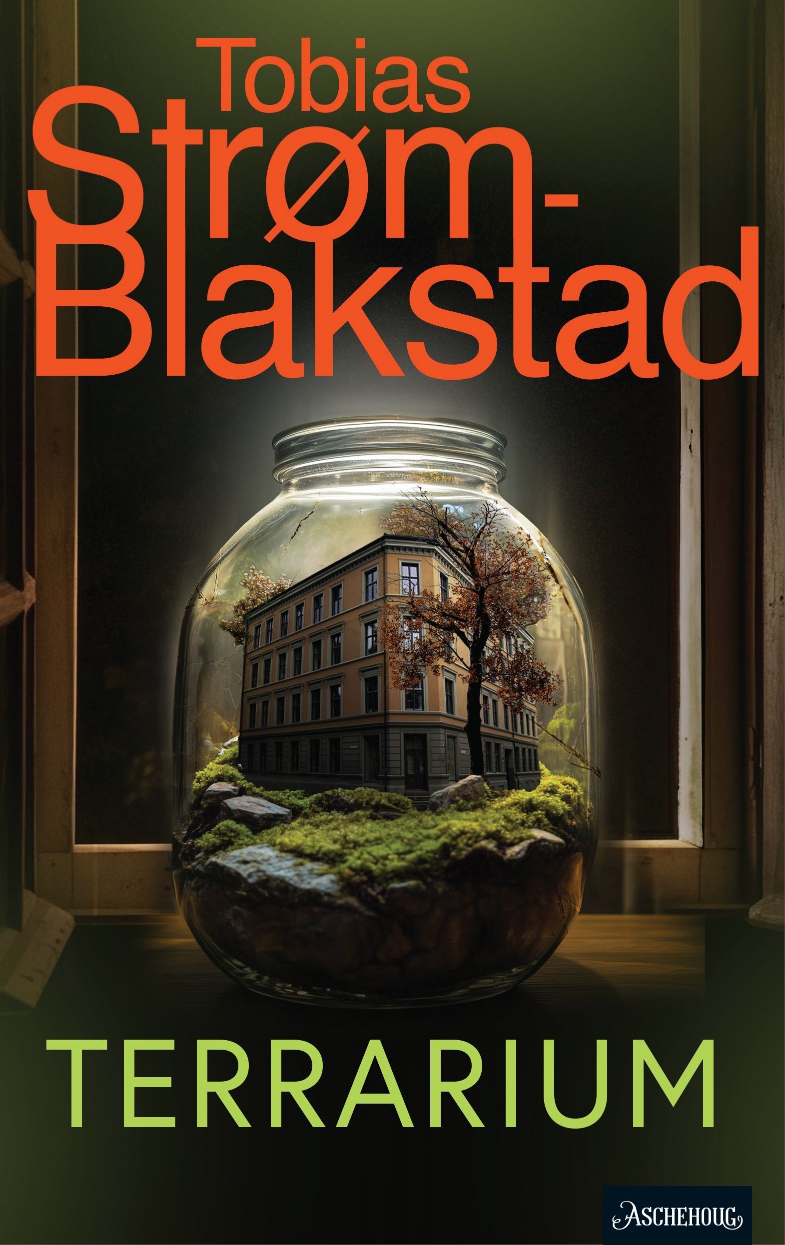 Omslagsbilde