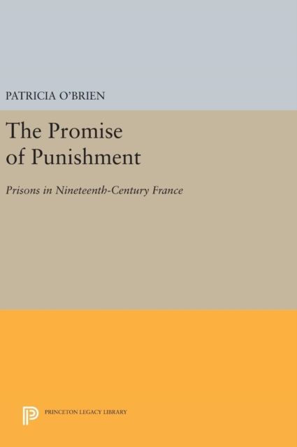 The Promise of Punishment : Prisons in Nineteenth-Century France