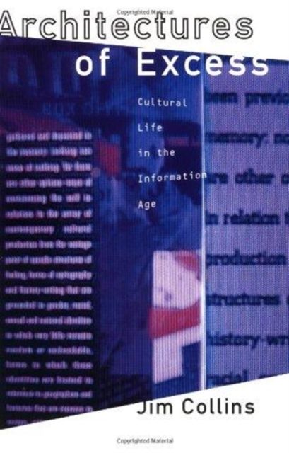 Architectures of Excess : Cultural Life in the Information Age