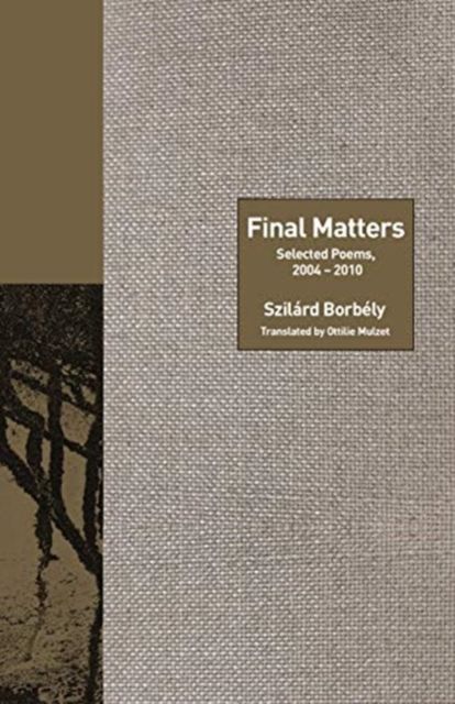 Final Matters : Selected Poems, 2004-2010