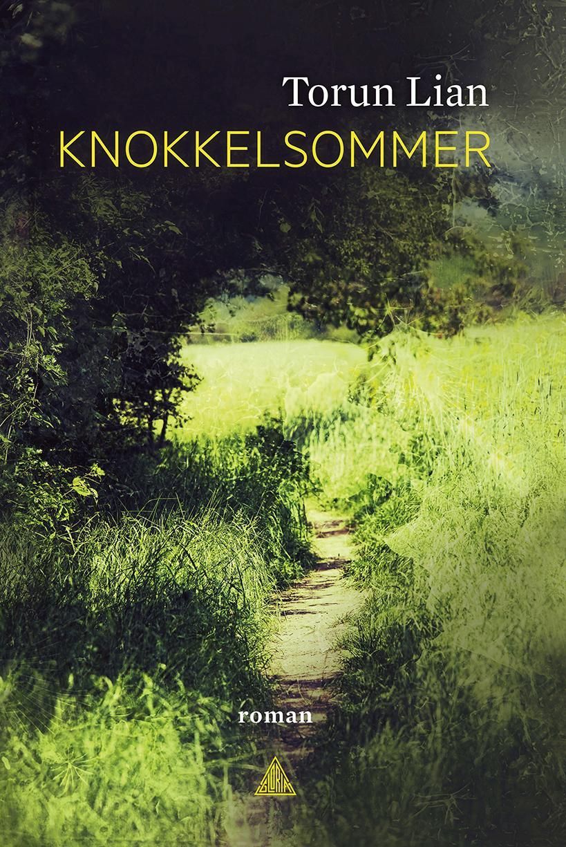Knokkelsommer : roman