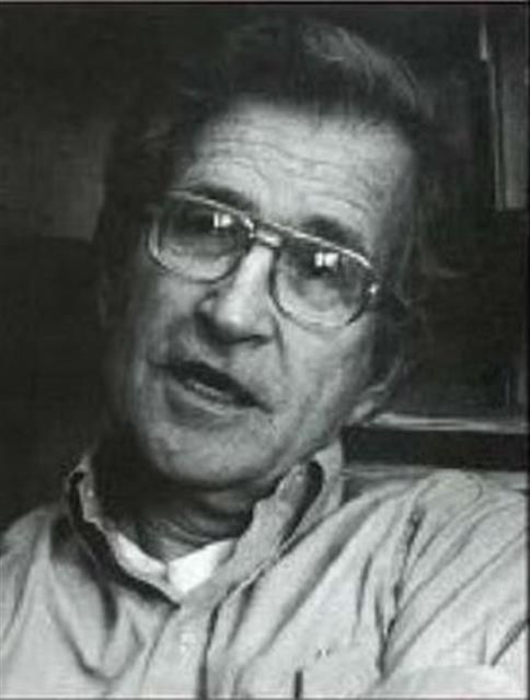Noam Chomsky : Critical Assessments