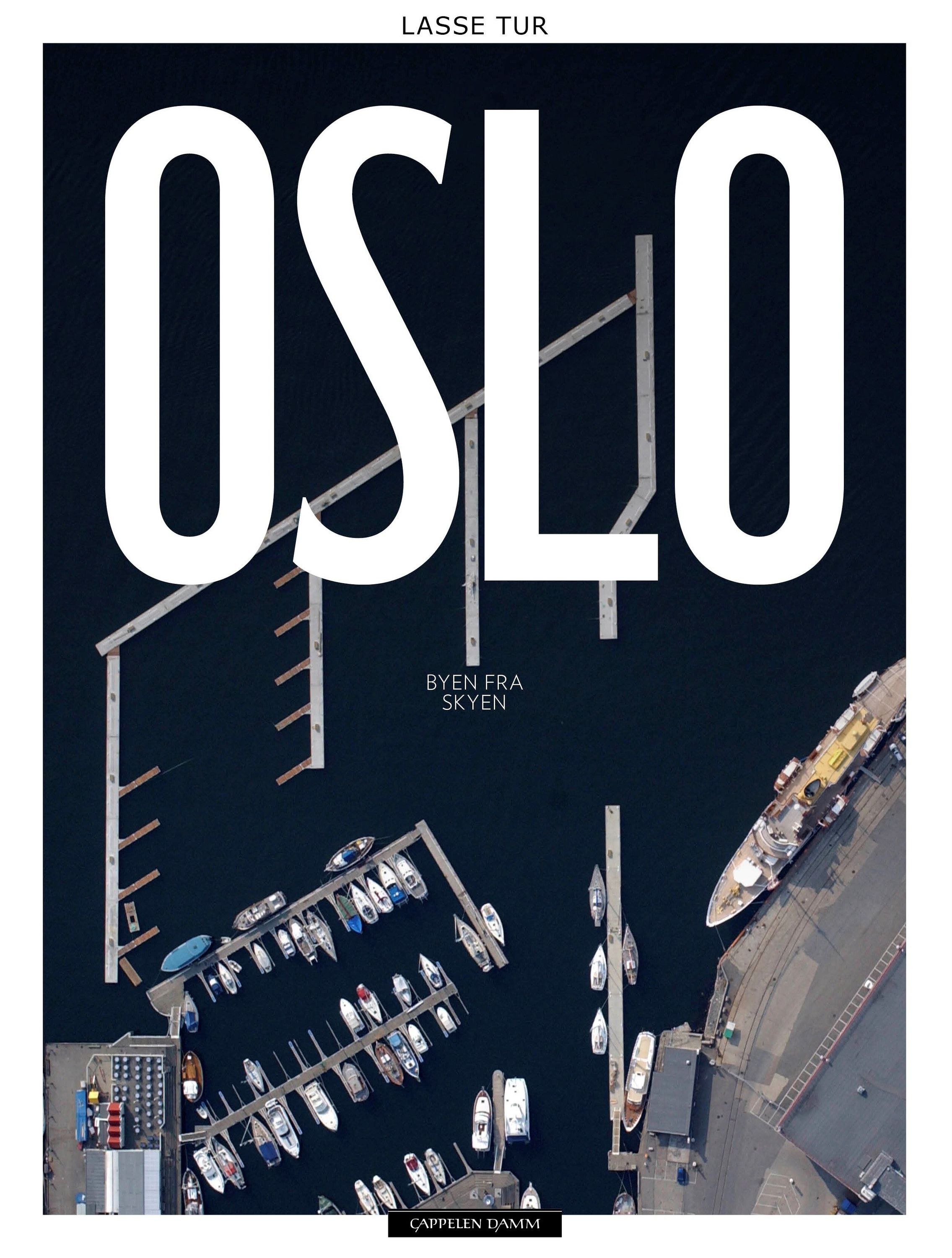 Oslo : byen fra skyen