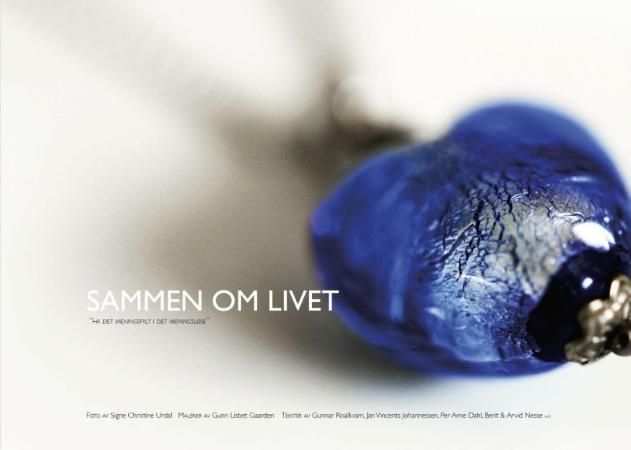 Sammen om livet : ha det meningsfylt i det meningsløse