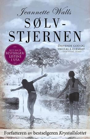 Sølvstjernen : en roman