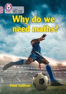 Why do we need maths? : Band 18/Pearl