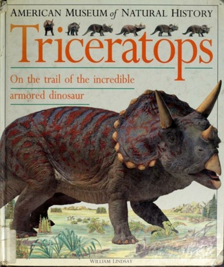 Triceratops : på sporet etter den utrolige, pansrede dinosauren