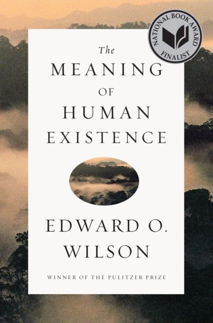 Forsidebilde av The Meaning of Human Existence