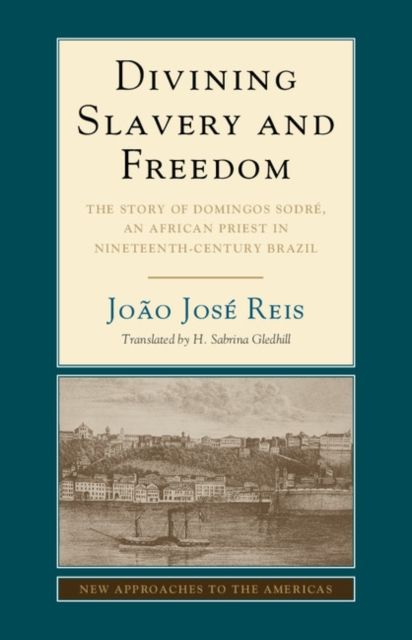 Divining Slavery and Freedom : The Story of Domingos Sodre, an African Priest in Nineteenth-Century Brazil