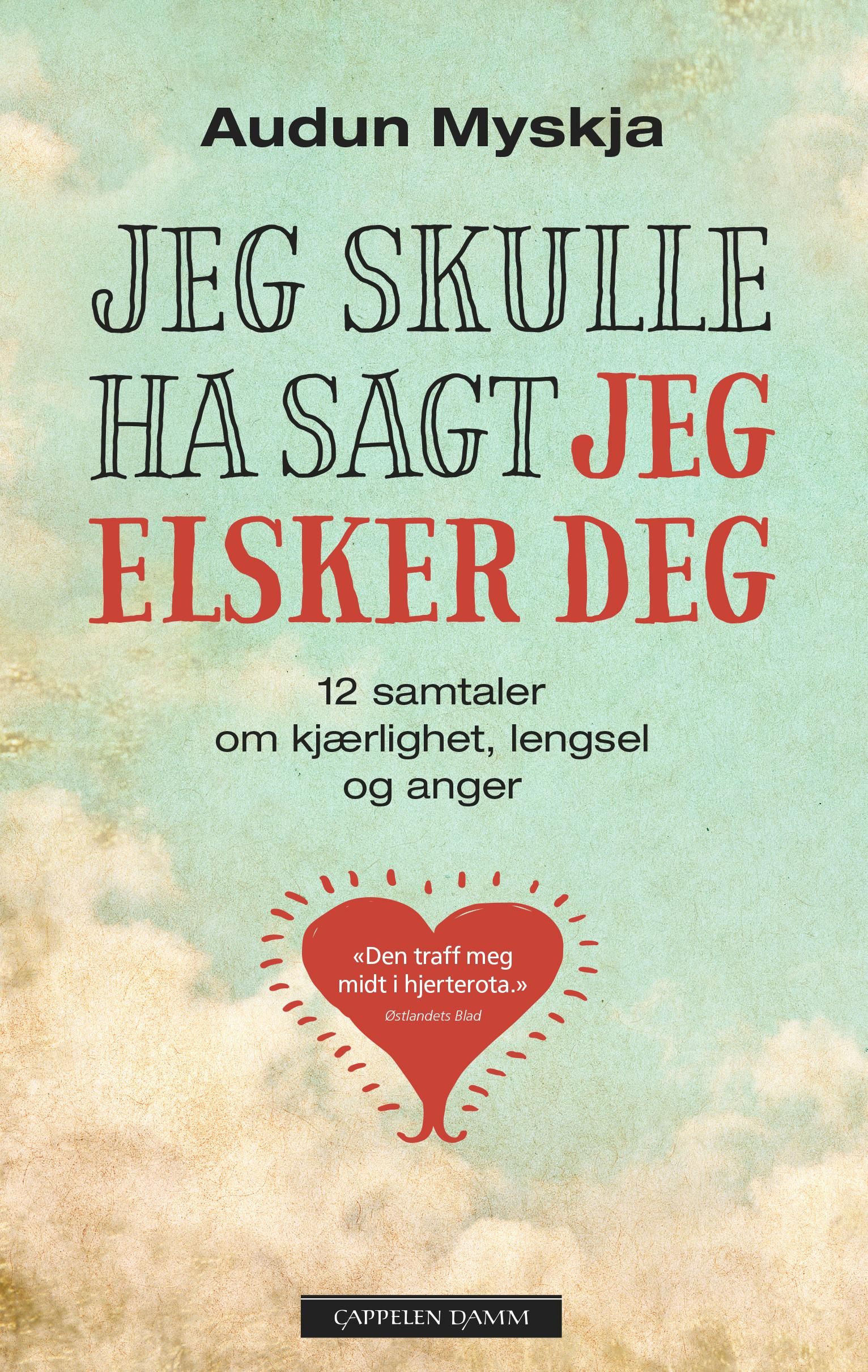 Jeg skulle ha sagt jeg elsker deg : 12 samtaler om kjærlighet, lengsel og anger ved livets slutt