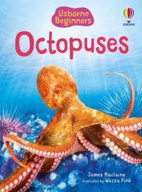 Octopuses