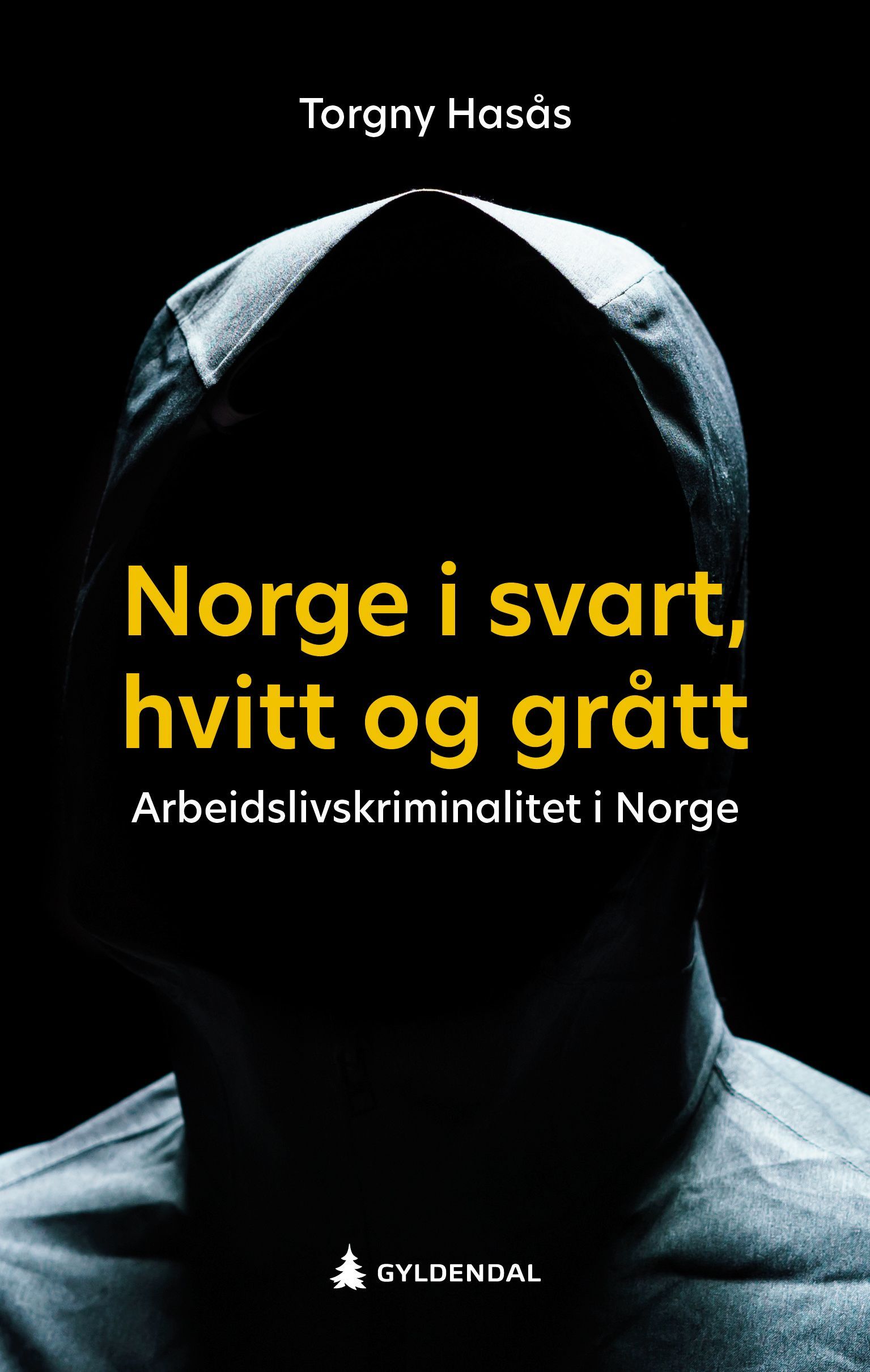 Norge i svart, hvitt og grått : arbeidslivkriminalitet i Norge