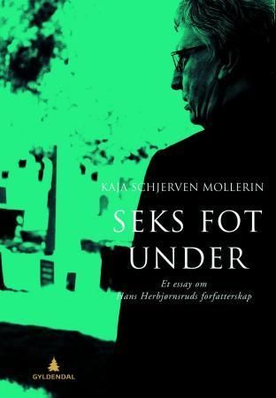 Seks fot under : et essay om Hans Herbjørnsruds forfatterskap
