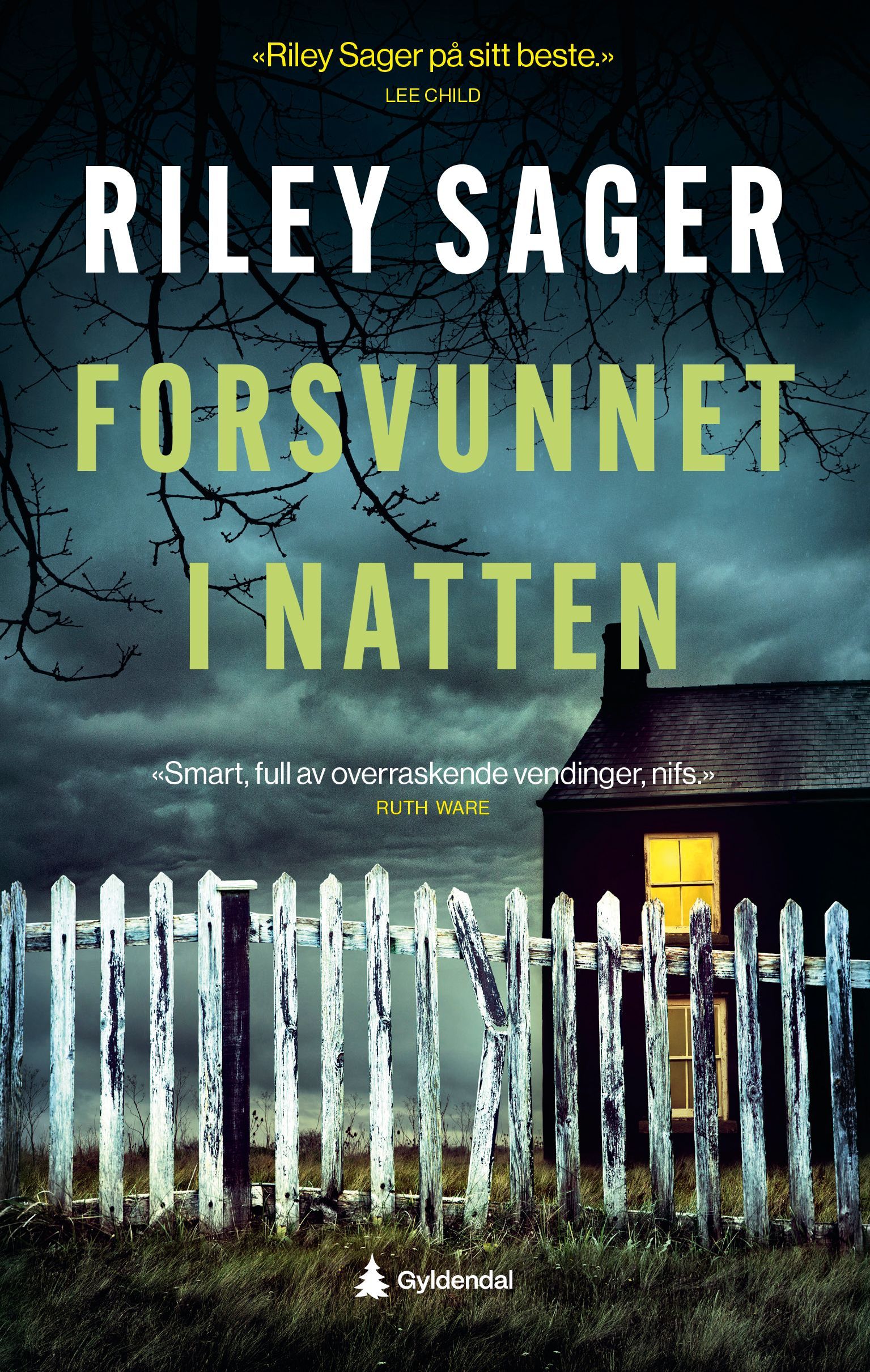 Forsidebilde av Forsvunnet i natten