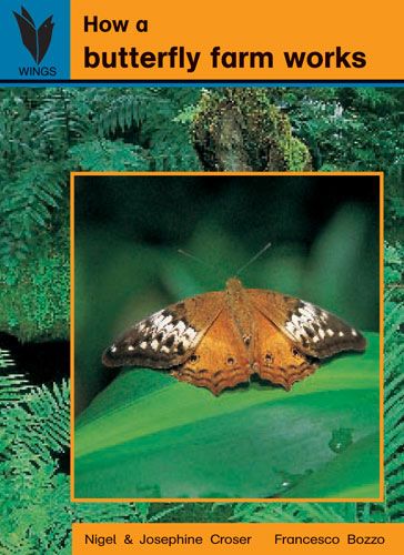 How a butterfly farm works
