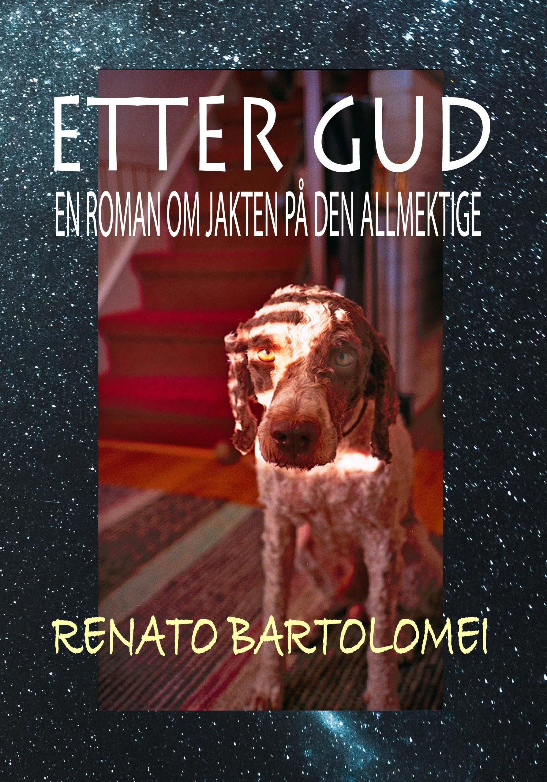 Etter Gud : en roman om jakten på Gud