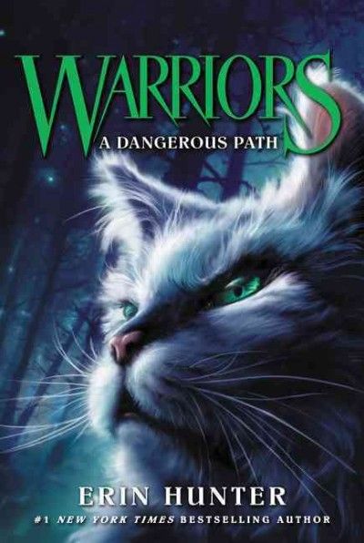 A dangerous path