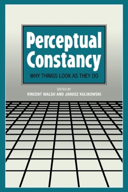 Perceptual Constancy : Why Things Look as They Do