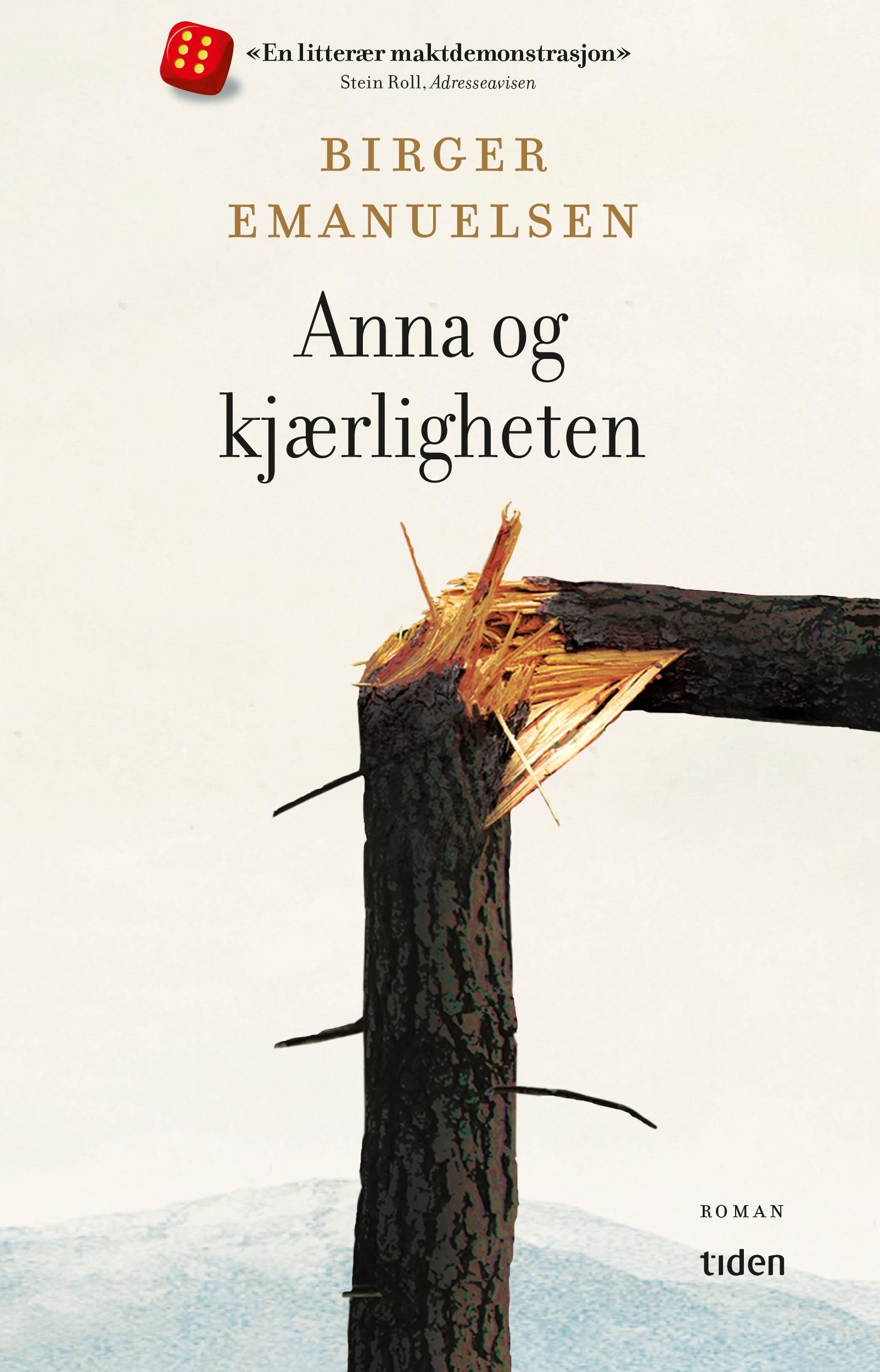 Anna og kjærligheten : roman