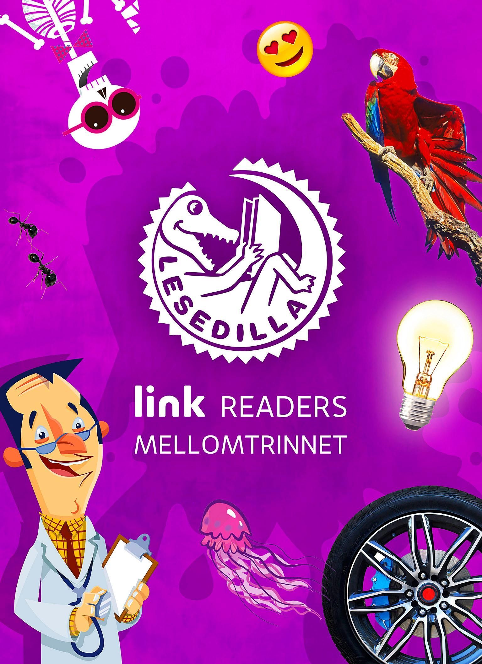 Link readers : mellomtrinnet